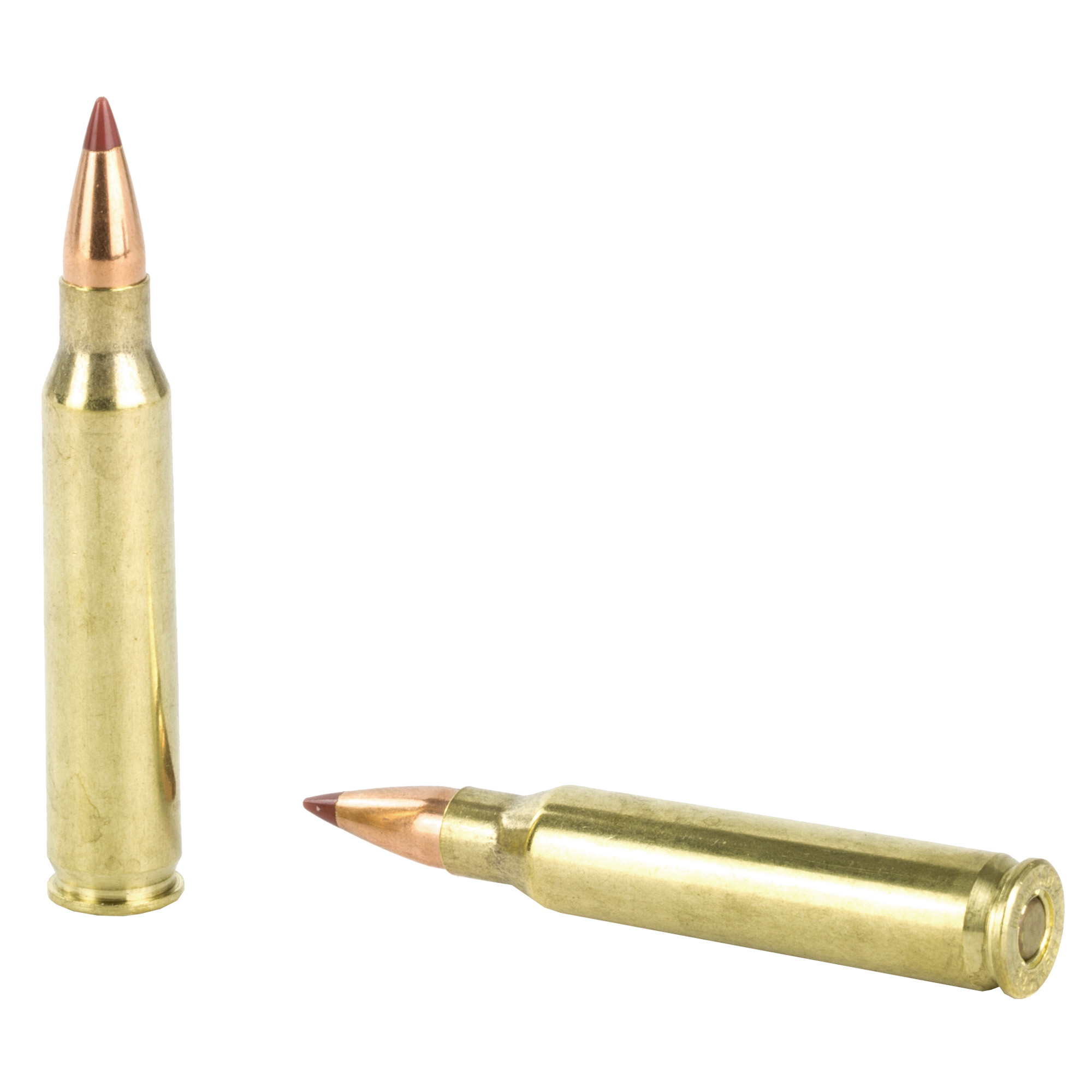 Hornady 223 Rem 35gr NTX – Proven .223 Remington Varmint Ammo, 4000 fps, 20 Rounds 4 Hornady 223 Rem 35gr NTX – Proven .223 Remington Varmint Ammo, 4000 fps, 20 Rounds - Image 4