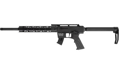RIA IMPORTS TM22 22LR 10RD 20" BLK