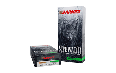 Barnes Steward 6mm ARC 80gr Tipped VarmintKing 20rd