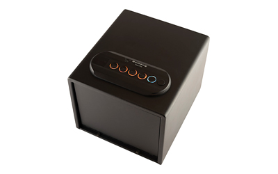 BULLDOG PSTL VAULT 11X8X5 DBL BIO