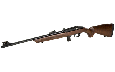 ROSSI RS22 22LR 18" 10RD WOOD