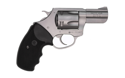 CHARTER ARMS PITBULL 40S&W 2.3" SS