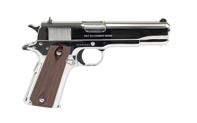 COLT GOVT MODEL 45ACP 5" SS 8RD