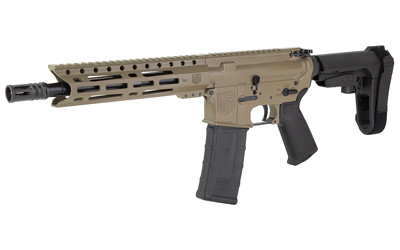 DBF DB15 300BLK 10" 30RD FDE BRACE