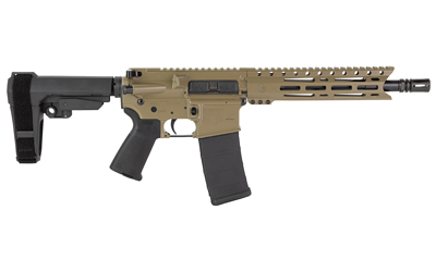 DBF DB15 556 10" MLOK 30RD FDE BRACE