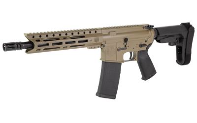 DBF DB15 556 10" MLOK 30RD FDE BRACE