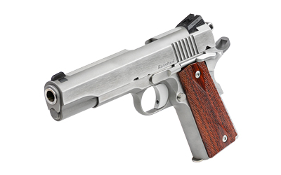 Dan Wesson Razorback RZ-10 10mm Pistol