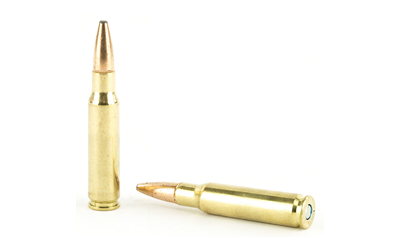 FED PWRSHK 308WN 180GR SP 20/200