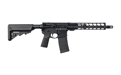 LAN SF15 CQB 11.5" 300BO SBR 30RD