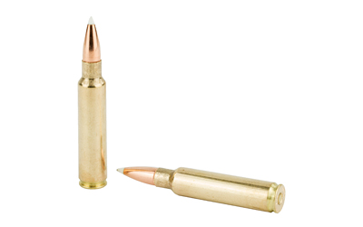 NOSLER 33NOS 225GR AB 20/200