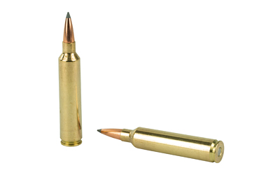 NOSLER 28NOS 175GR ABLR 20/200