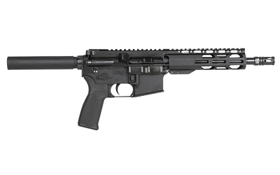 RADICAL 300BLK 8.5" RPR HG 30RD BLK
