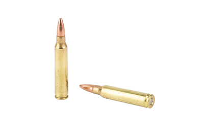 REM 223REM 55GR FMJ 250RD BUCKET WTP