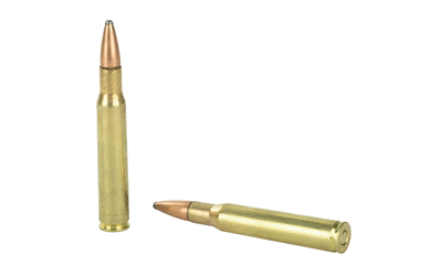 REM 30-06 165GR PSP CL 20/200