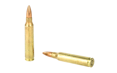 REM UMC 223REM 55GR FMJ 20/200