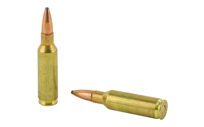 REM 300RSAUM 165GR PSP CL 20/200