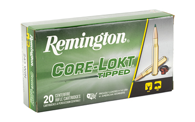 REM 243WIN 95GR CLOK TIPPED 20/200
