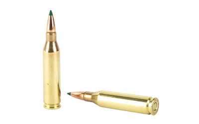 REM 243WIN 95GR CLOK TIPPED 20/200