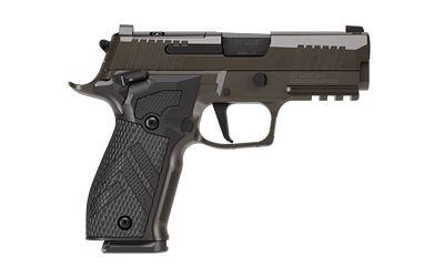 SIG P226 XLGN DA/SA 9MM 3.8 10RD GRY
