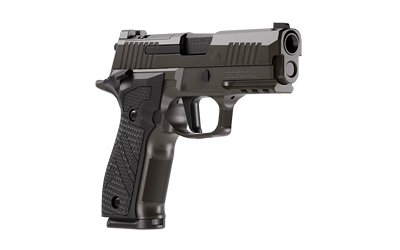 SIG P226 XLGN DA/SA 9MM 3.8 10RD GRY