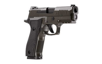 SIG 226 XLGN DA/SA 9MM 3.8" 18RD GRY