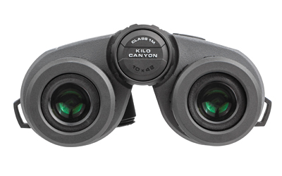 SIG CANYON RANGR BINO 10X42 GRAPHITE
