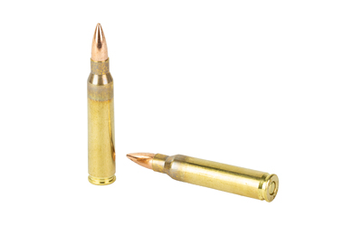 SOLGW 556NATO 55GR FMJ 50/1000