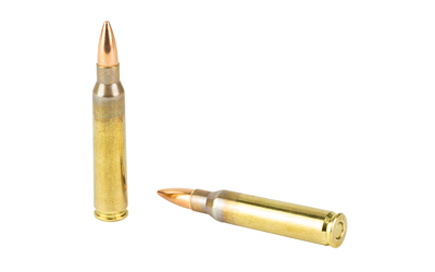 SOLGW 556NATO 62GR FMJ 50/1000