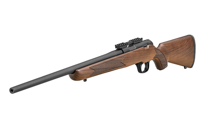 SPRGFLD 2020 RIMFIRE TRGT 22LR GRDA