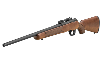 SPRGFLD 2020 RIMFIRE TRGT 22LR WLNT