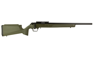SPRGFLD 2020 RF 22LR 20" ODG 10RD