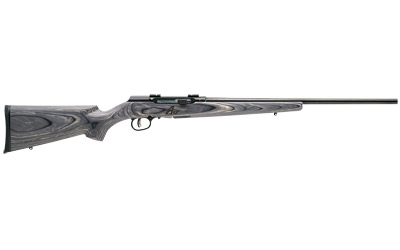 SAV A17 TARGET 17HMR 22" 10RD BL/LAM