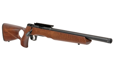 SAV B17 TIMBER 17HMR 18" TB 10RD WD
