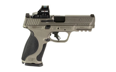 S&W M&P M2.0 9MM 4.25" 17RD HOLO GRY