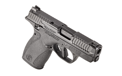 S&W M&P BDYGRD 2.0 380ACP 10RD TS