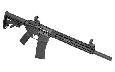 TIPPMANN ARMS M4-22 - Jimmy's Creek Firearms view 3