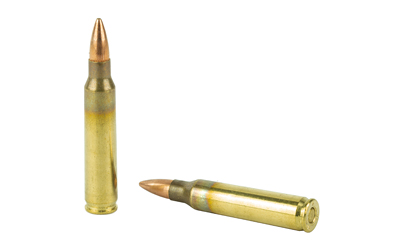 Winchester Ammunition USA 556NATO - ArmoryFlow Demo view 4