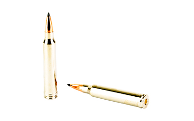 WIN EXPD BIG GM 300WIN 190GR 20/200
