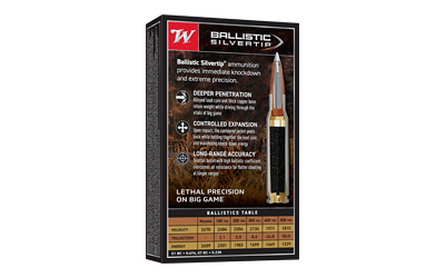 WIN BLSTC TIP 308WIN 168GR 20/200